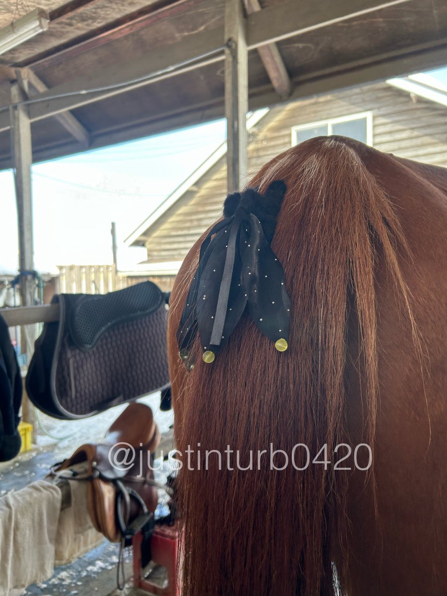 GOGOターボさん（ジャスティンターボ） (@justinturb0420) / Posts / X