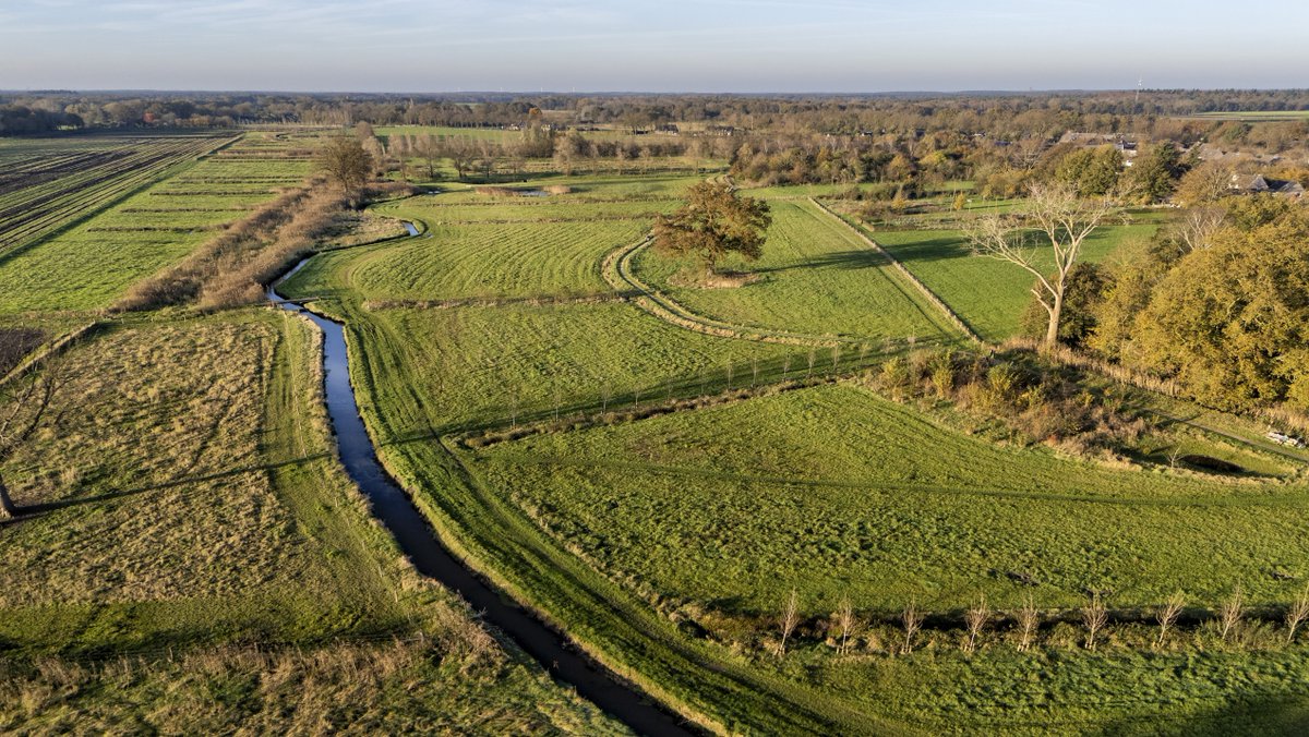 Extra geld voor subsidie Natuurnetwerk Brabant. De provincie past de subsidieregeling voor het Natuurnetwerk Brabant aan. De aanpassing gaat in per 9 februari 2026.
Lees meer: brabant.nl/actueel/nieuws…