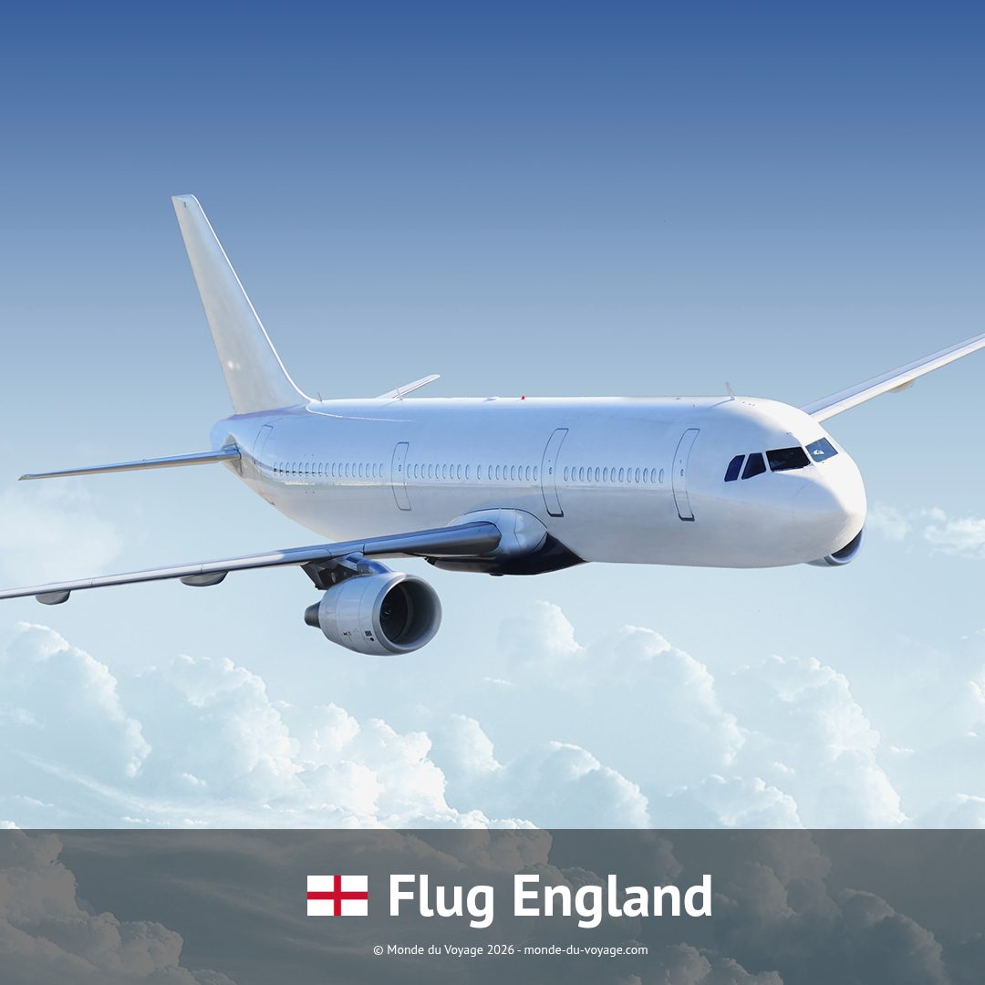 Monde_du_Voyage's tweet photo. Direktflug mit British Airways BA: Hin- und Rückflug von Rom (Italien) nach London (England) ohne Zwischenstopp. Aktueller Preis: 143 €. Komfortable Verbindung 🇮🇹✈️🇬🇧 #Flugangebot #BritishAirways #Rom #London #Direktflug #WeltEntdecken #Reise2026 https://t.co/J3NHDYZBCU https://t.co/RpjEbplLi0