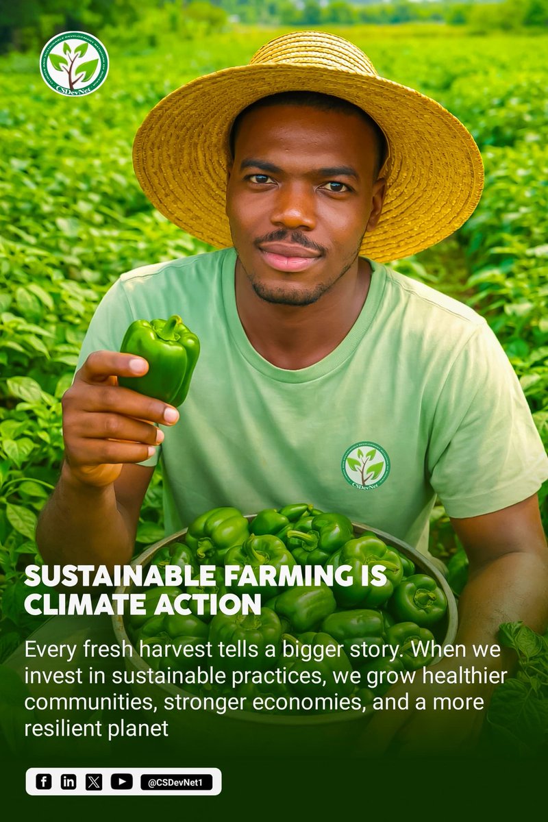 Climate & Sustainable Development Network tweet media