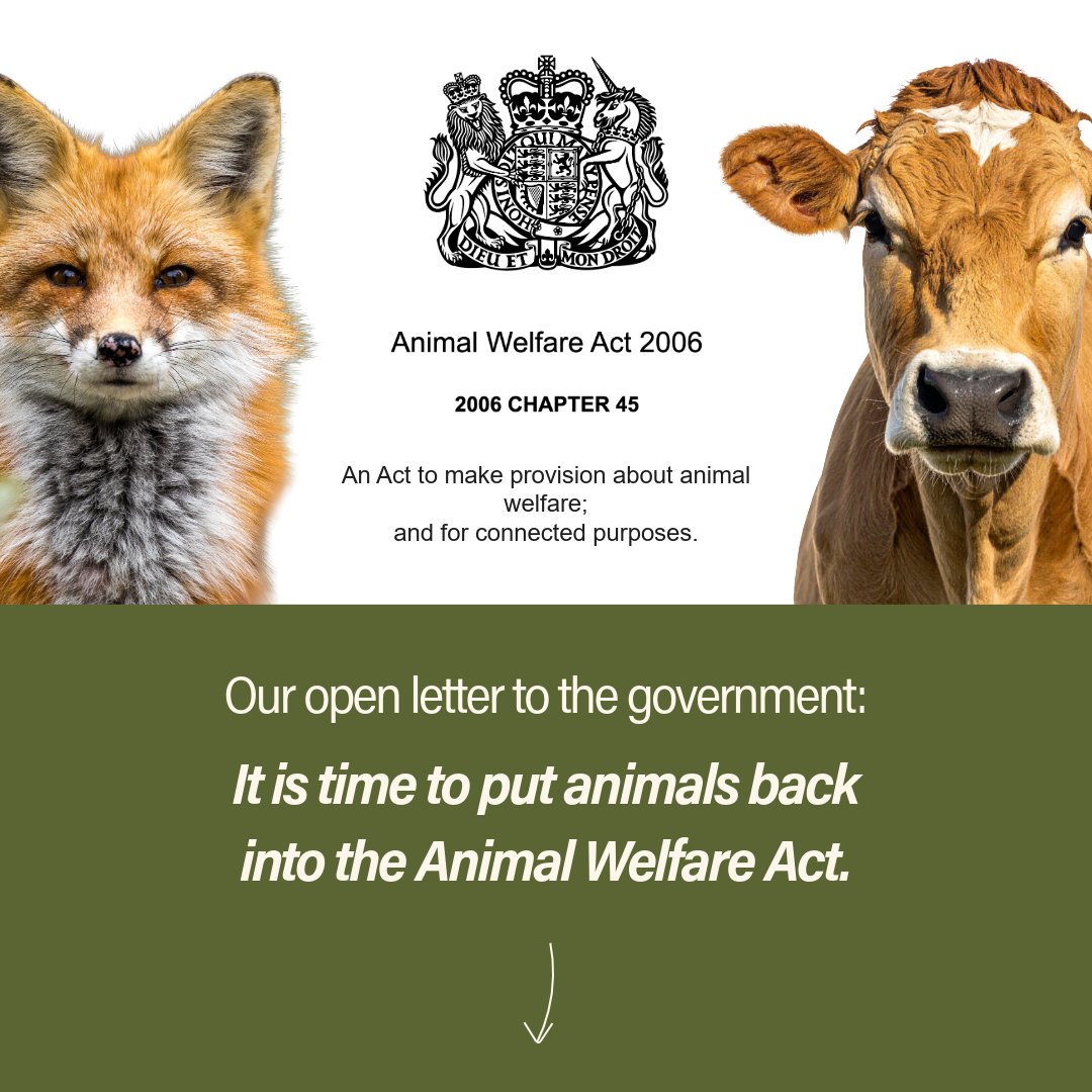 The Animal Law Foundation tweet media