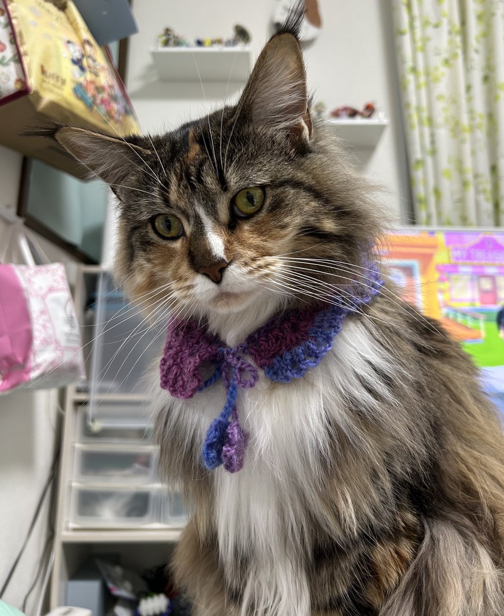 なりちゃ (@Narichi0) / Posts / X