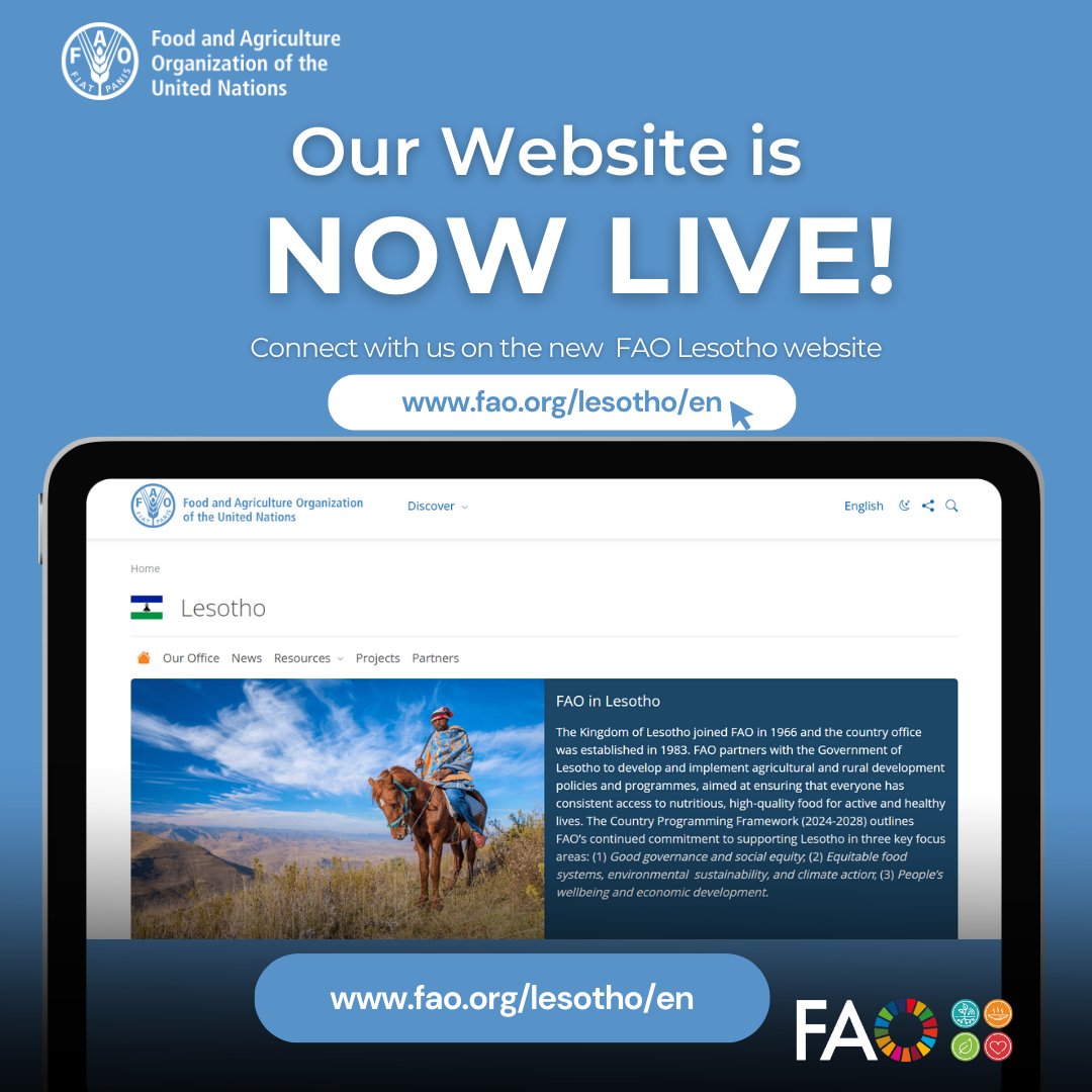 FAO in Lesotho tweet media