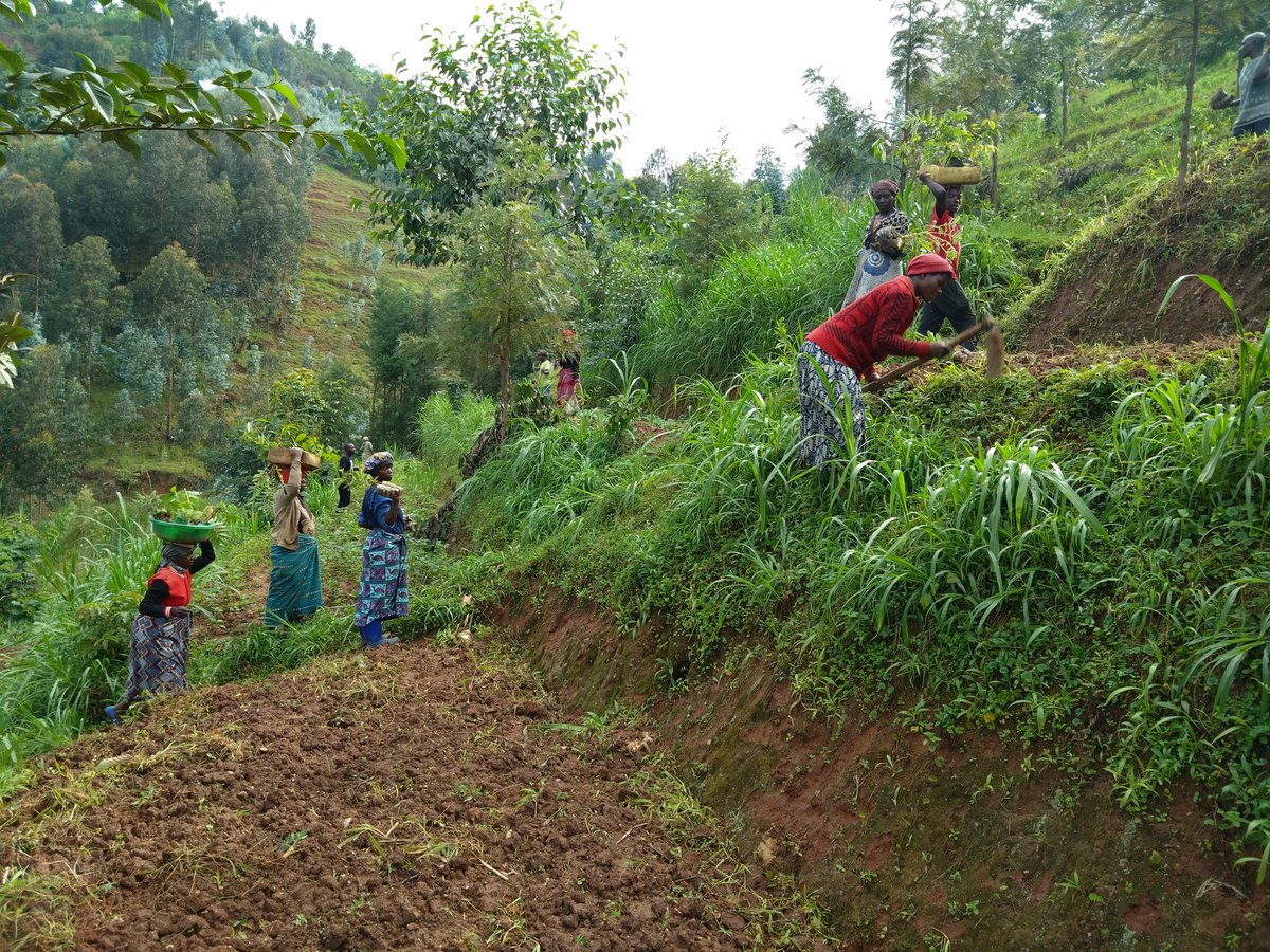 jules_tuyizere's tweet photo. Planting a tree today is planting hope for tomorrow π± Every seed in the soil is a promise of cleaner air, richer biodiversity, and a stronger future.
#Treeplanting
#ClimateActions
#SDGs https://t.co/Oe9qbcT2mv