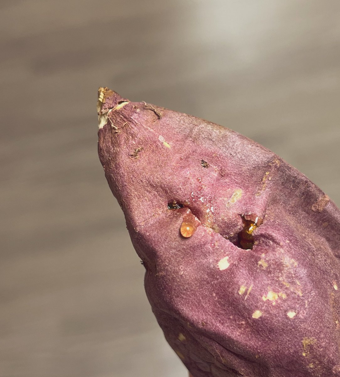 moheu01's tweet image. 미친 안까봐도 벌써 맛있는 고구마야!!!!!!!