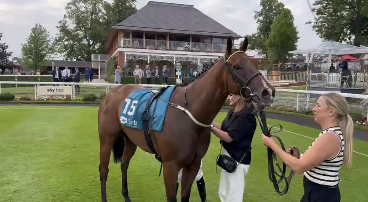 The Muffed Punt Partnership tweet media