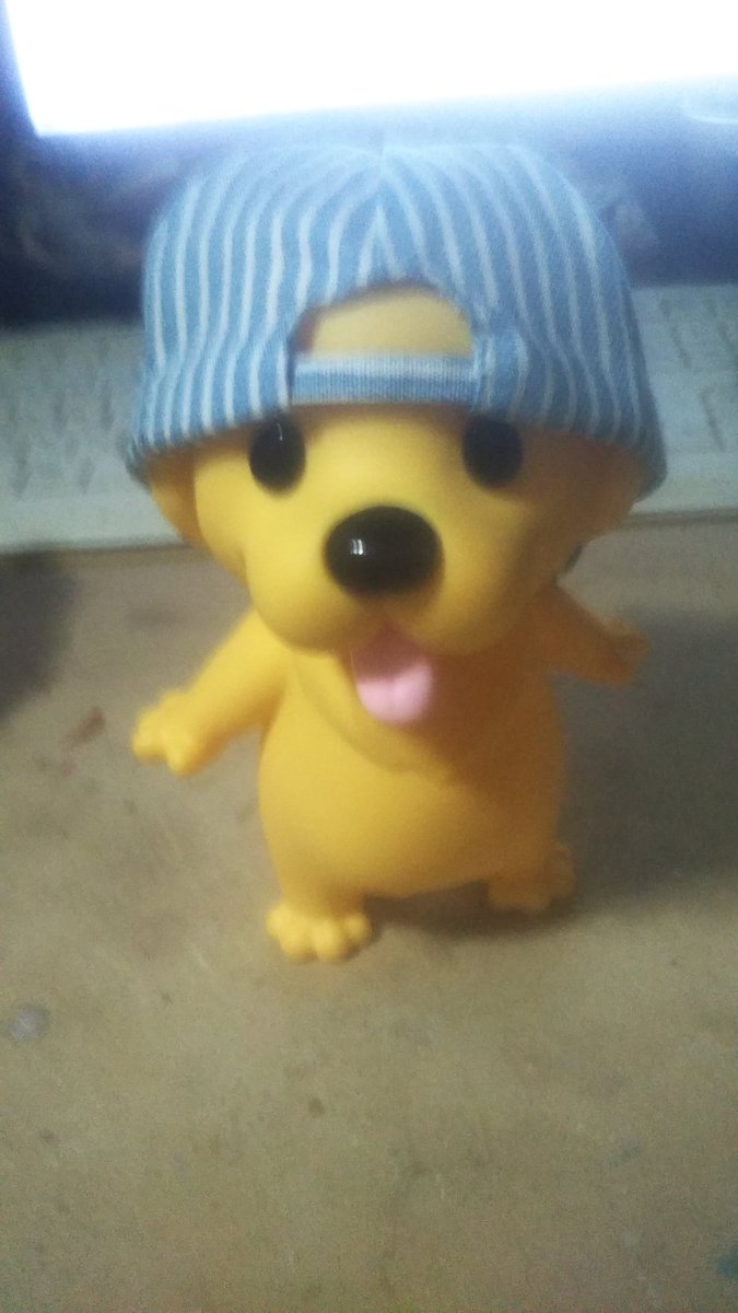 ゴルちゃんかわええ〜よかった、お迎えできて
