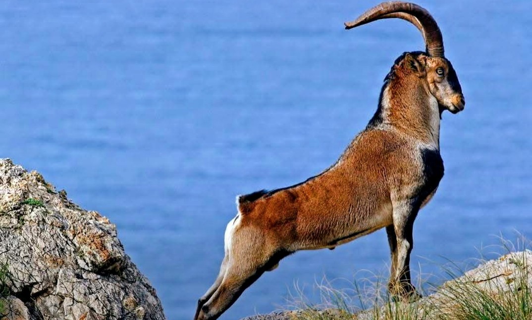 Ευσταθία tweet media