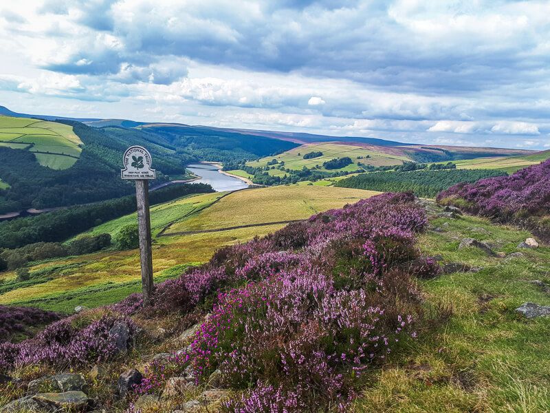 PeakDistrictWks's tweet photo. This 10-mile Derwent Edge walk takes you past plenty of unusual rock formations whilst overlooking Ladybower Reservoir before descending back down to complete the loop. What are you waiting for? π https://t.co/mrcVFIUwlD #PeakDistrict #DerwentEdge https://t.co/tkjjTa9KpO