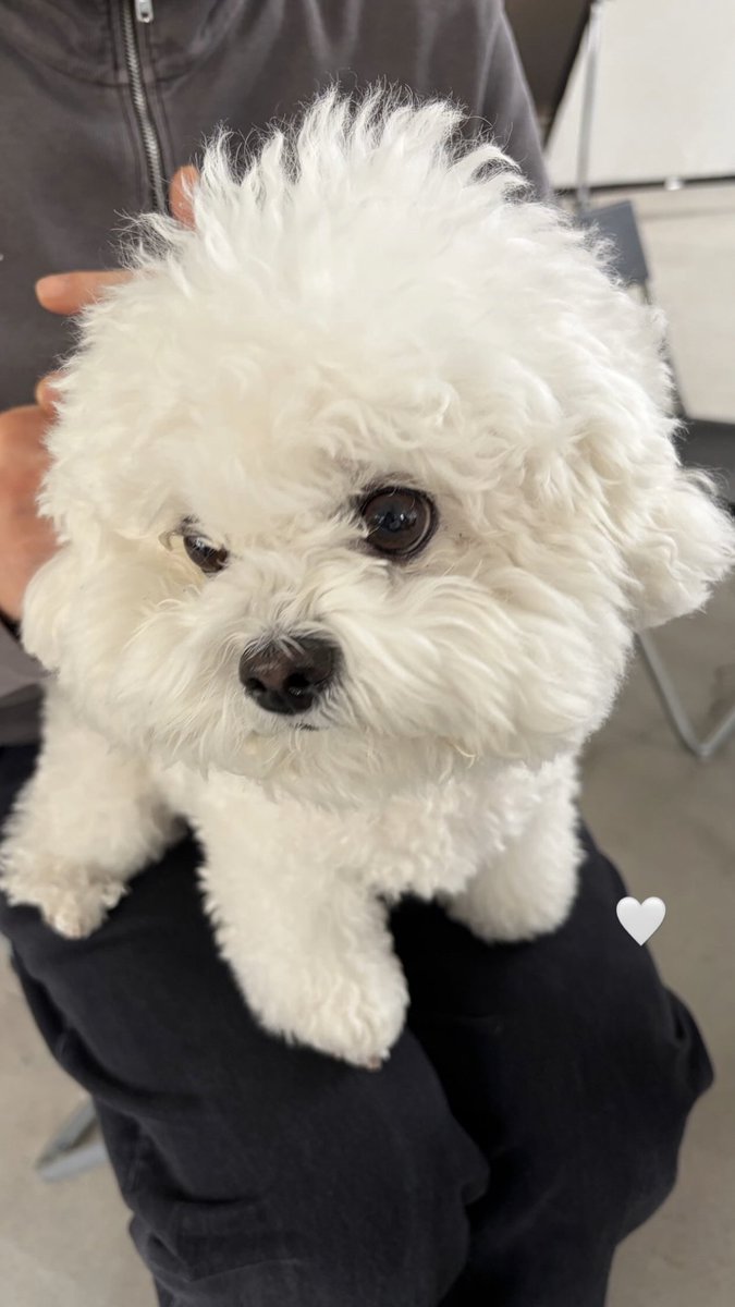 Ruby Updates tweet media