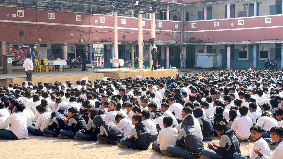 International Big Cat Alliance (IBCA) tweet media