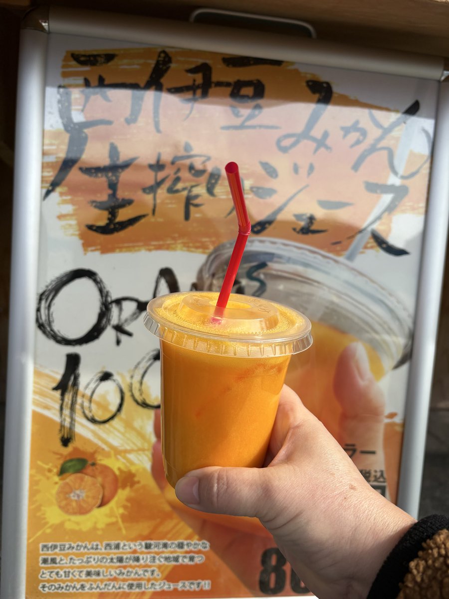 アジフライが今まで食べた中で1番美味しかった😋
めっちゃフカフカだった✨

100%みかんジュース美味しすぎて2回も買っちゃった

#沼津