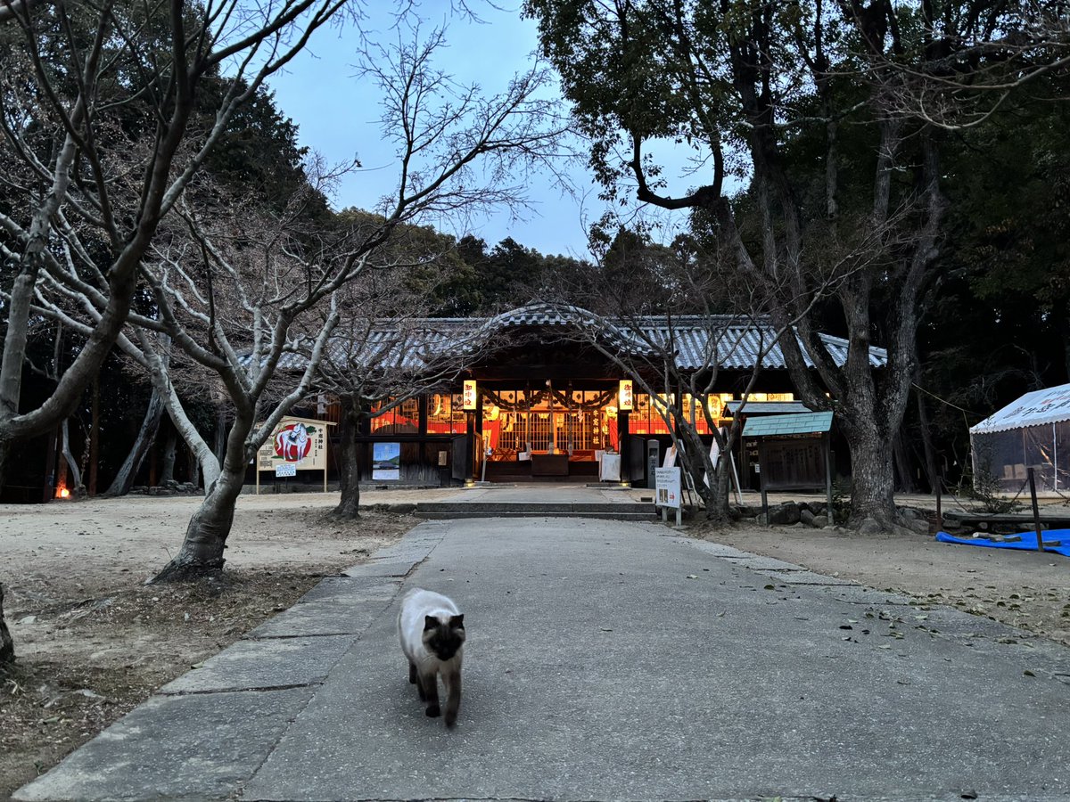 ushimadoshrine's tweet photo. 今日も一日おつかれさまでした！🐈‍⬛ https://t.co/KoVa1XNdkQ