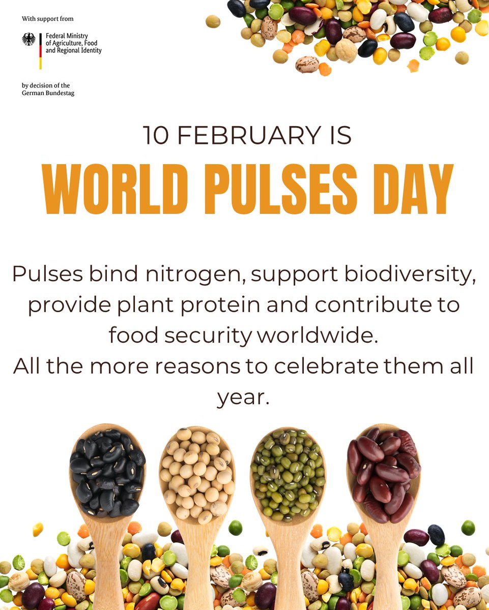 APD_AgricPolicy's tweet photo. On #WorldPulsesDay, we celebrate pulses as a foundation for healthy soils, nutrition &amp; climate resilience. 🌱
Through the AU–Germany Agricultural Policy Dialogue (#APD), supported by #BMLEH, we advance policies for sustainable agrifood systems across Africa.
#Pulses  #BMLEH #APD https://t.co/vdd7yrgx4y