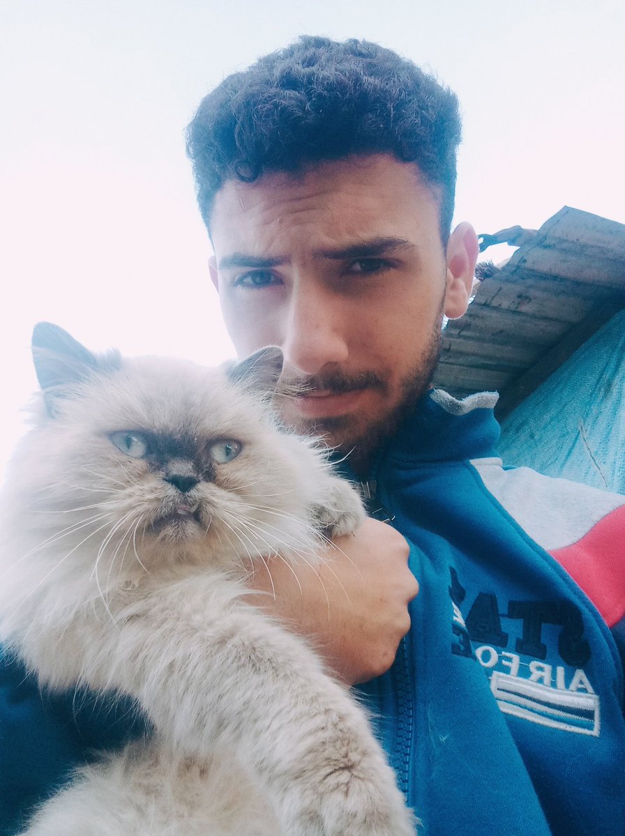 aboodaljbour16's tweet image. GOOD MORNING 🌞

My cat Lusy and I are still alive