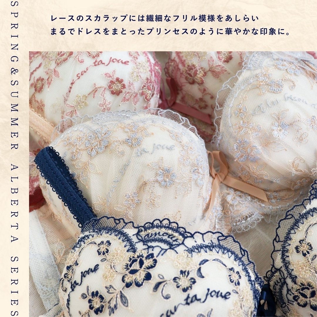 🪡 𝐴𝑙𝑏𝑒𝑟𝑡𝑎 𝐷𝑒𝑠𝑖𝑔𝑛 𝑃𝑜𝑖𝑛𝑡 🪡 ⁡ ✔︎ ワイヤーブラ