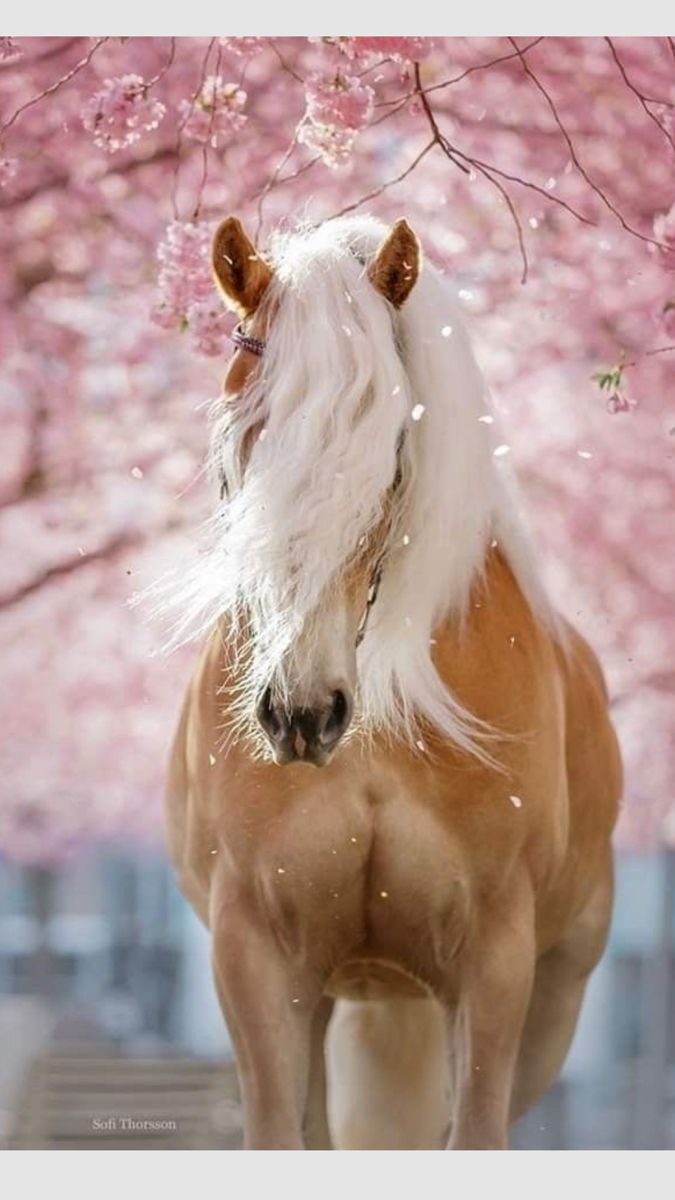 Earth Pictures 🌎🌎🌎 (@__earthpicture) on Twitter photo 