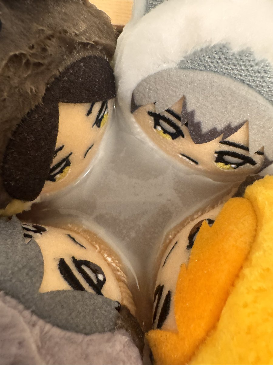 e_k980315's tweet image. よくお出かけに行ってくれる🦊ズ

初お風呂🛁

仲良く入ってもらった🤣💗

#うちのちみけも

この枡もらって正解だったけど２つにしてもよかったかな🙄