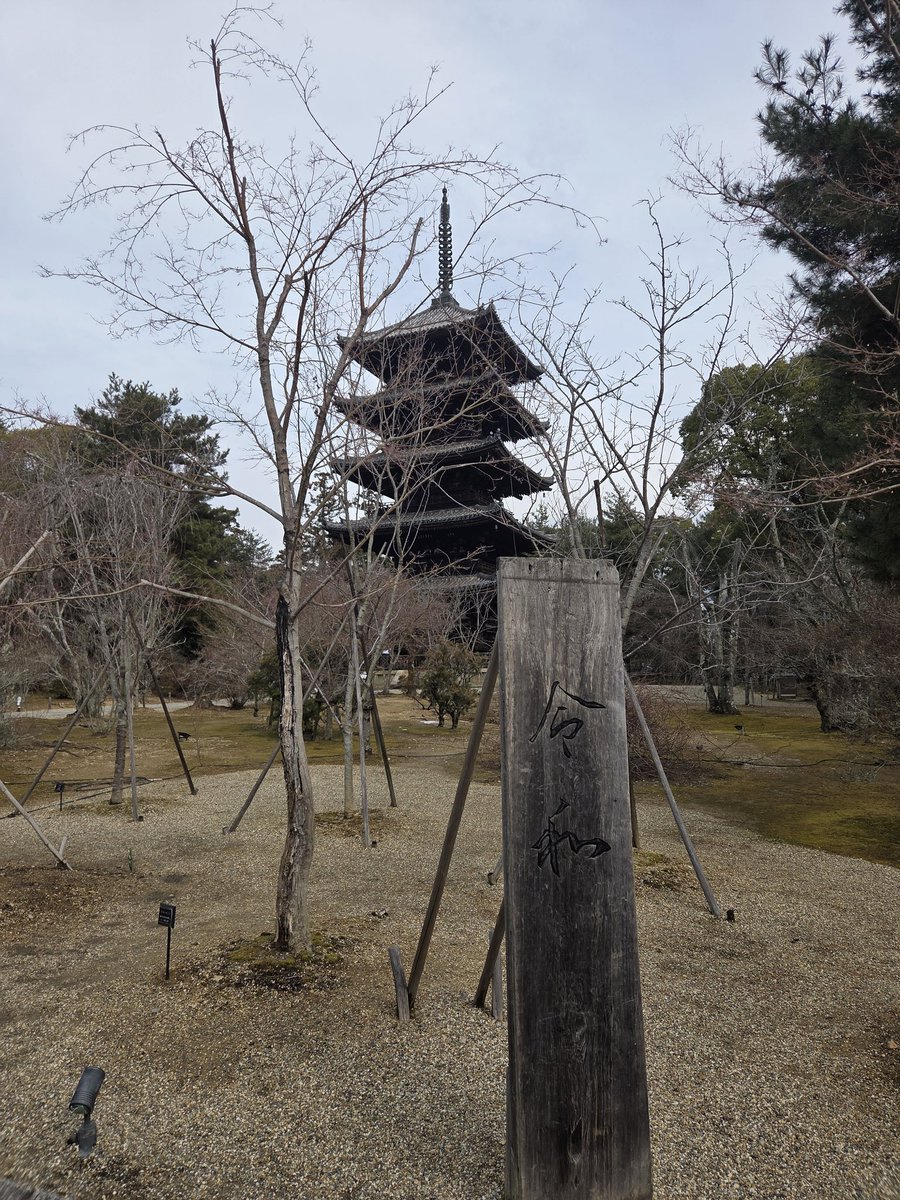 koook5254's tweet photo. 仁和寺 https://t.co/Xhh0dNT1Gy