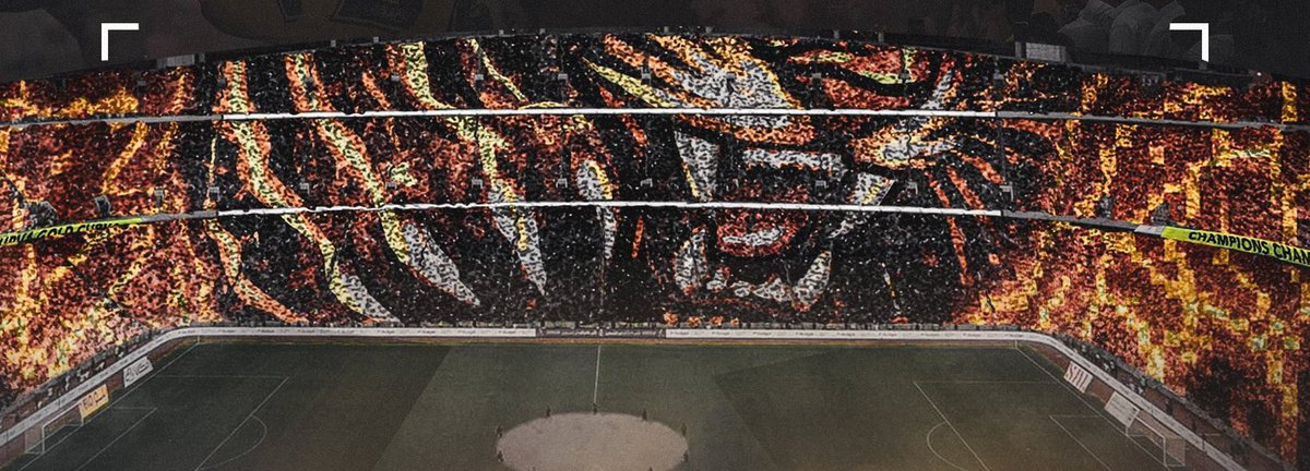 طلول tweet media