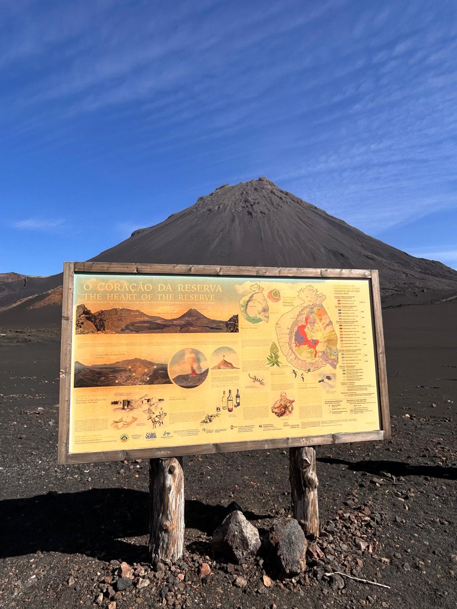 Edward Neering tweet media