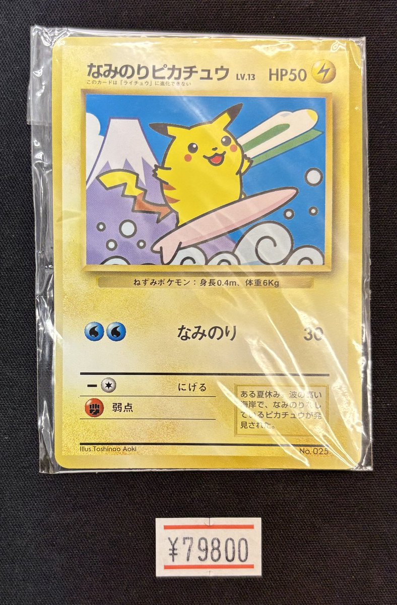 🛍️秋葉原➁号店🛍️入荷情報🛍️ #なみのりピカチュウ #富士山 台紙