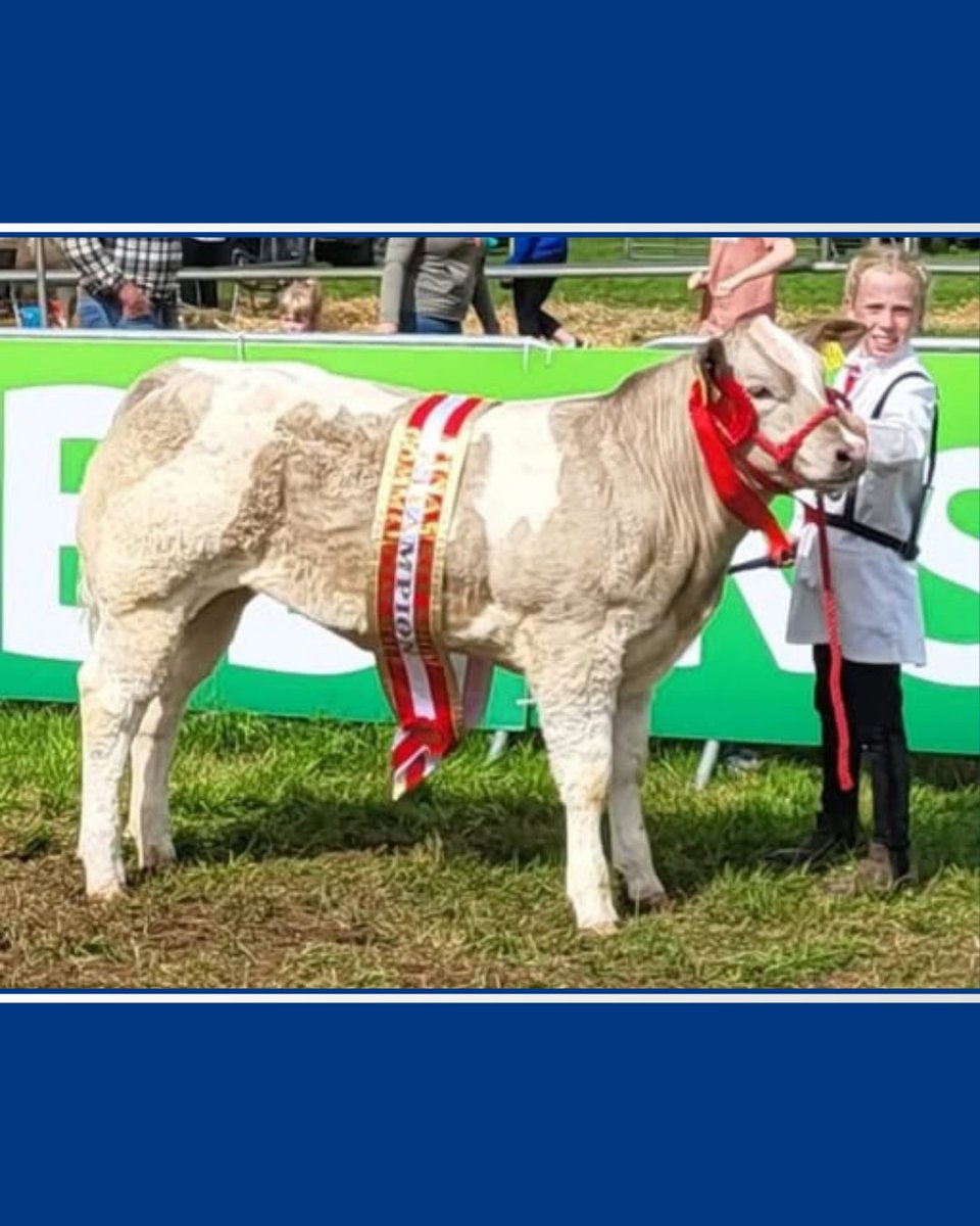 Prestige Beef tweet media