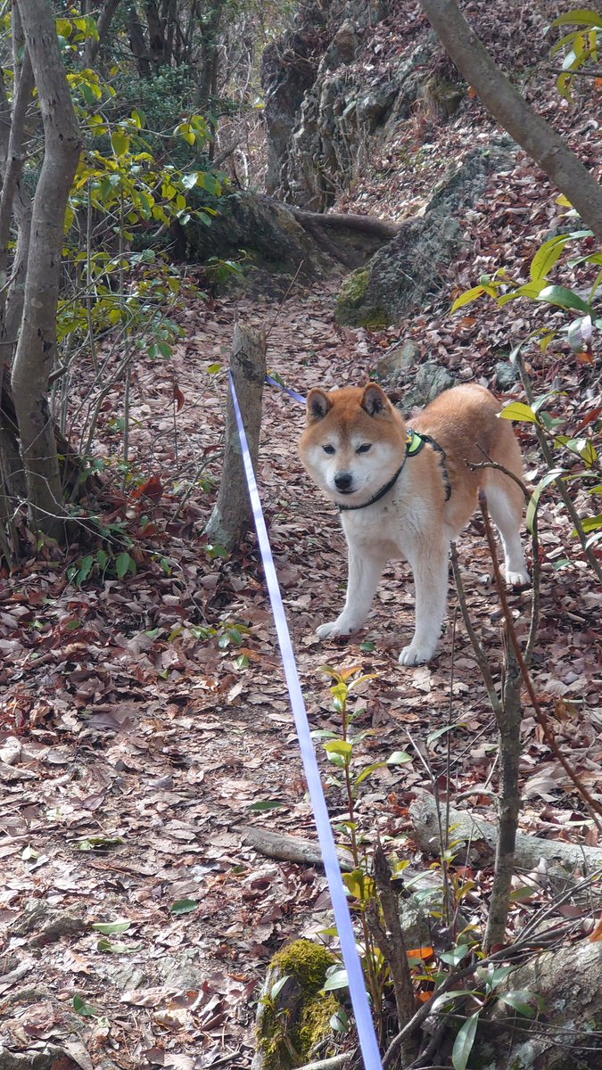 久しぶりの登山😆
いい息抜きになった☺️