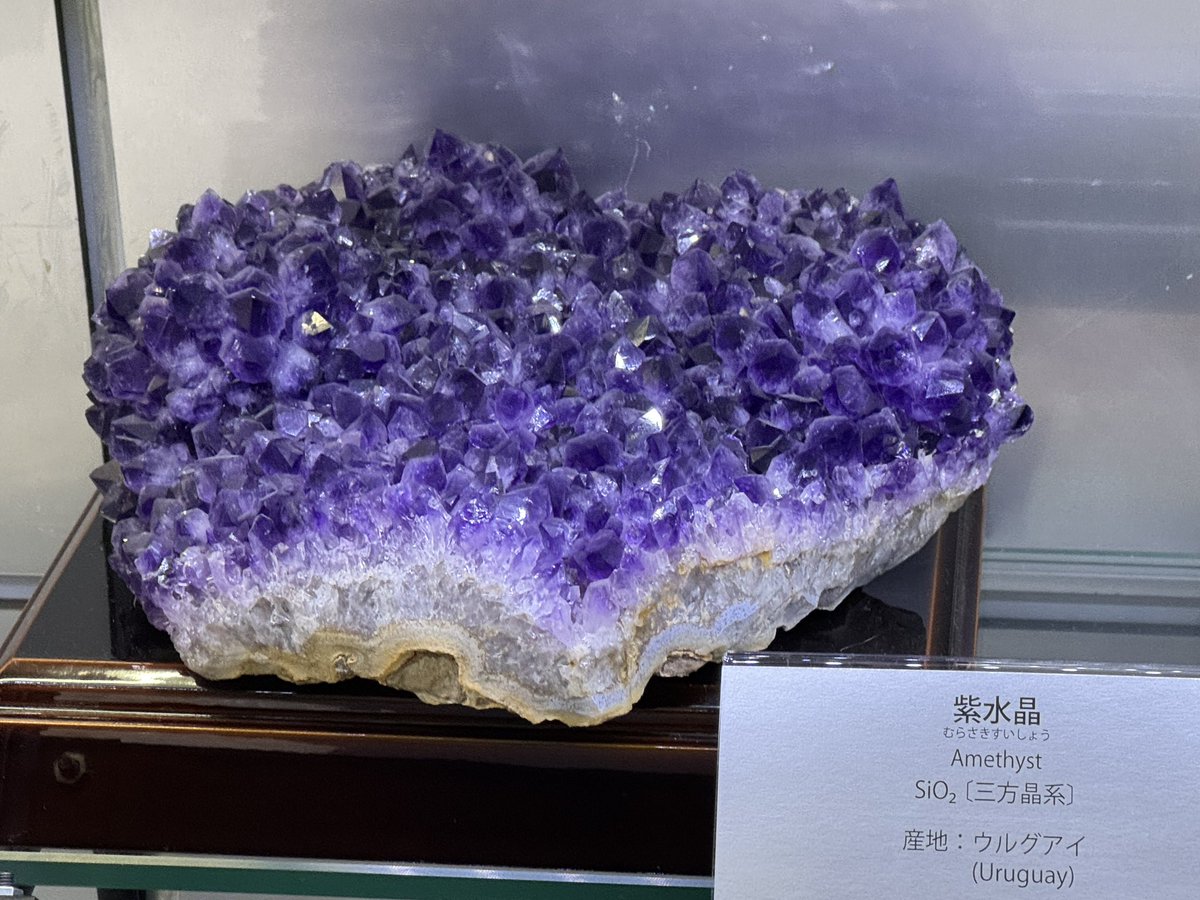 綺麗だねぇ🤠✨️