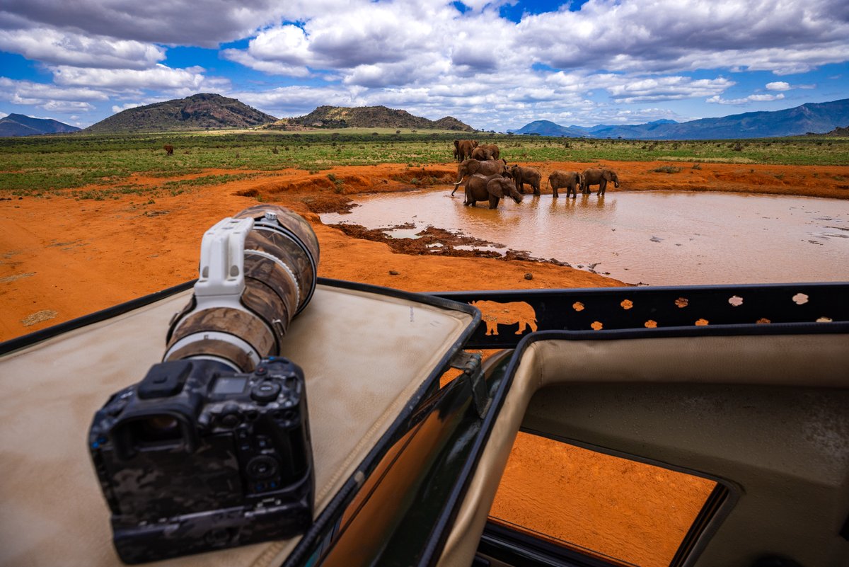 alexetchloebes's tweet photo. À Tsavo Est au Kenya, la pluie révèle un autre visage du paysage 🇰🇪

La terre rouge se couvre de vert, les lumières changent, et la faune évolue dans des décors spectaculaires.

Que penses tu de cette nouvelle série ? ✨

https://t.co/z5xZrtJrfL https://t.co/qyZ6JrtXzC
