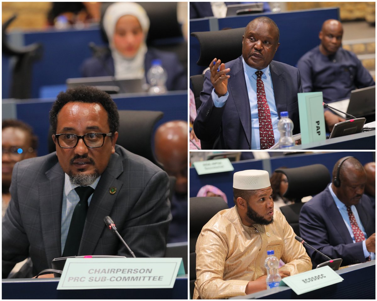 African Union Political Affairs Peace and Security tweet media