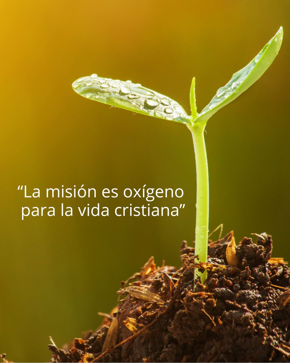 Misiones Navarra OMP (@misionesnavarra) on Twitter photo 