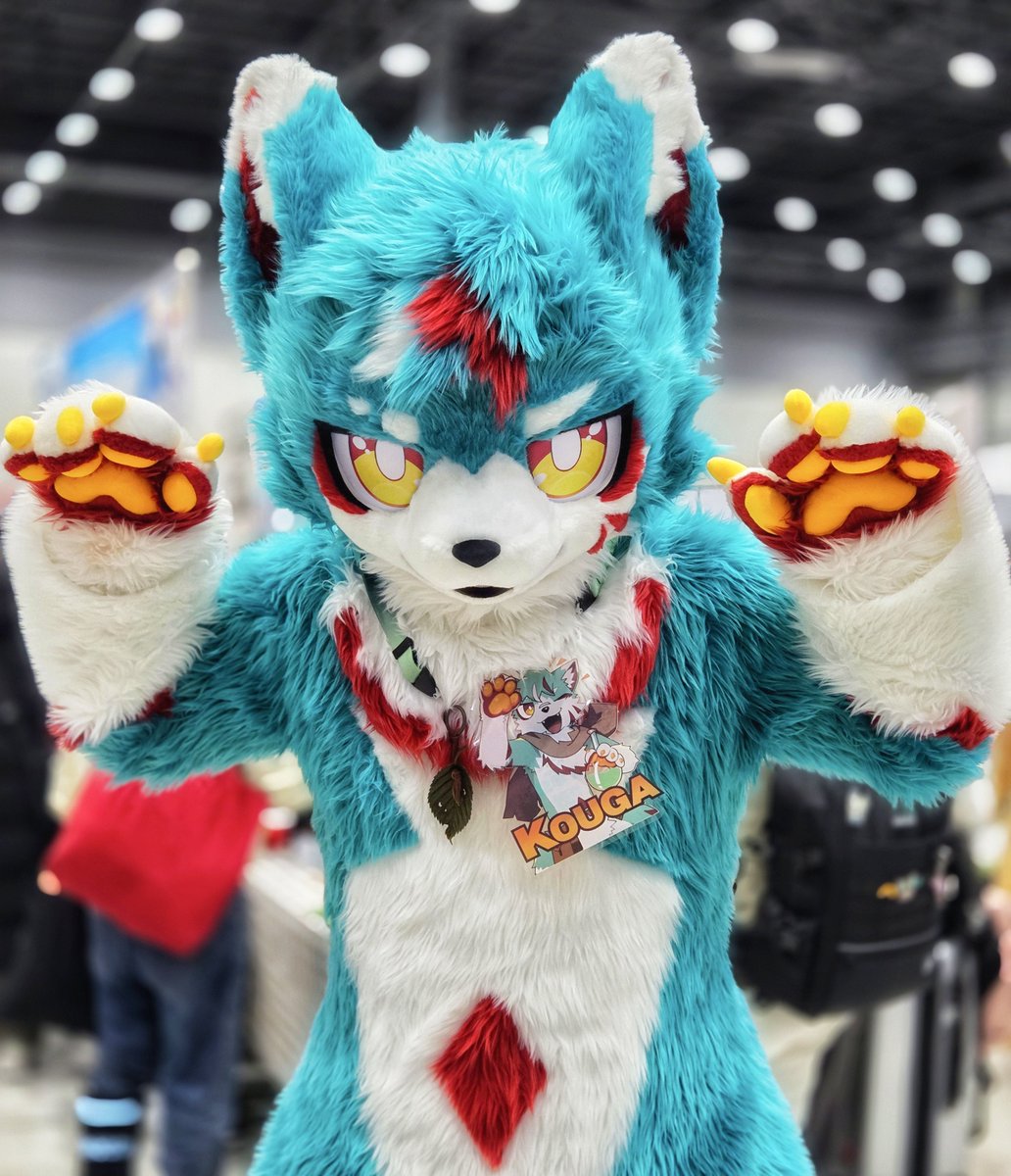 크앙! 이러면 이 몸이 얼마나 무서운 늑대인지 느껴지지!✨🐺

クアン！ これで俺様がどれだけ恐ろしい狼か分かっただろ！ ✨🐺

📷<a href="/WolfFaiol/">피올</a> 
#FursuitEveryday