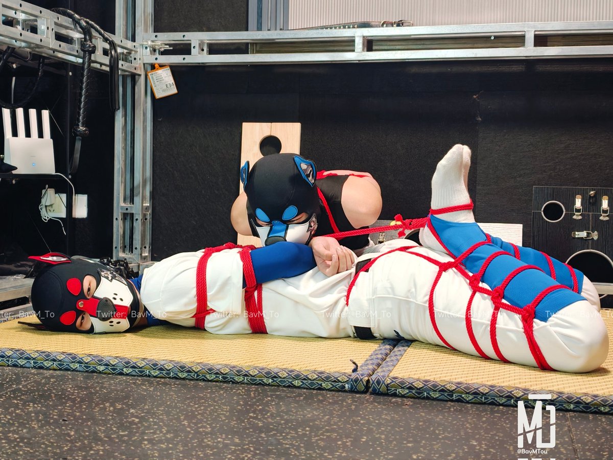 BavTo_木头 tweet media