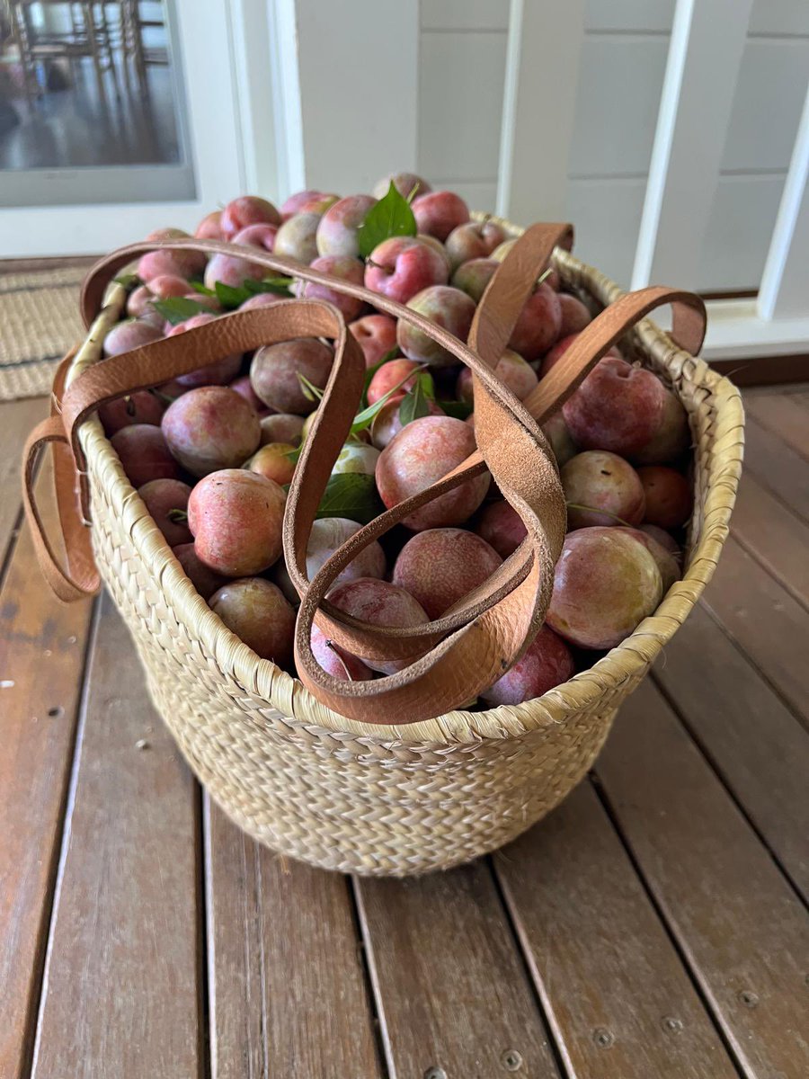 Jimmy Barnes tweet media