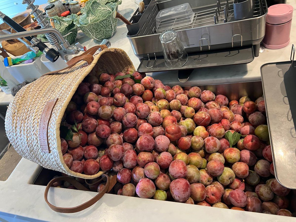 Jimmy Barnes tweet media