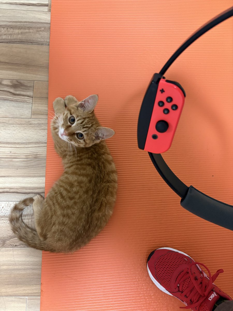 よっこ (@tukumoto819) / Posts / X