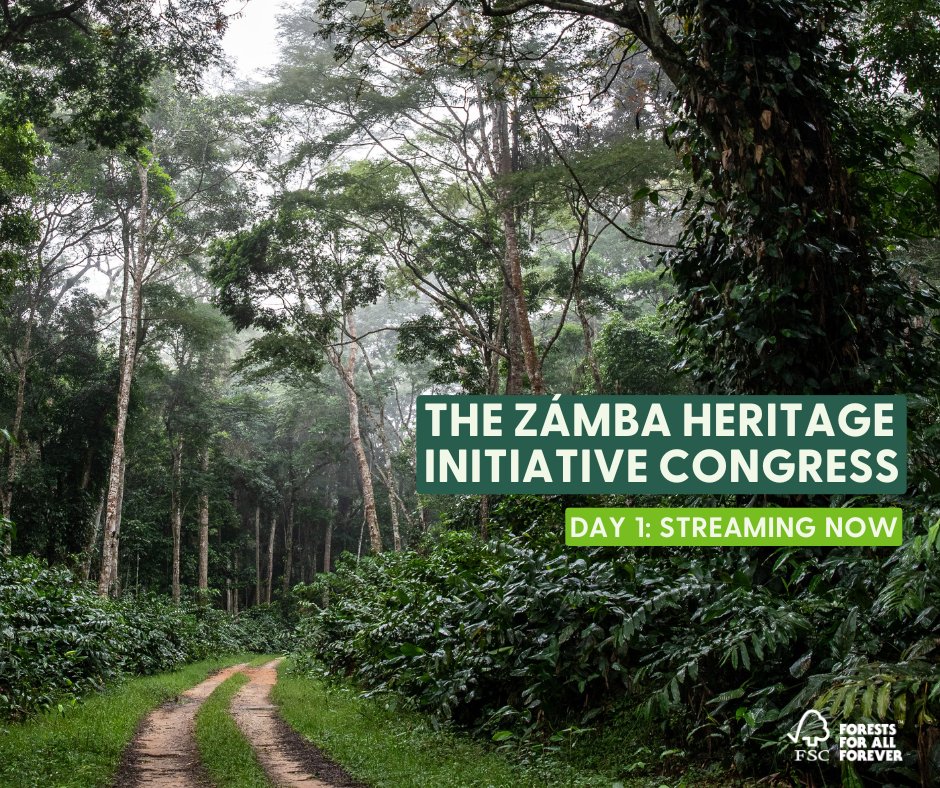 Forest Stewardship Council tweet media