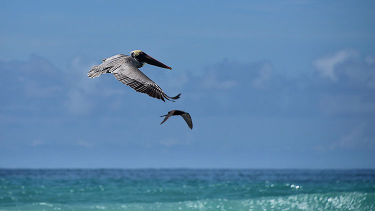 CORAZÓN ORANTE: "Esperanza de cielo" #oracion #sanjuandelacruz
✍️ Fr. Rafael Pascual Elías, OCD
➡️ revistaaguaviva.org/esperanza-de-c…