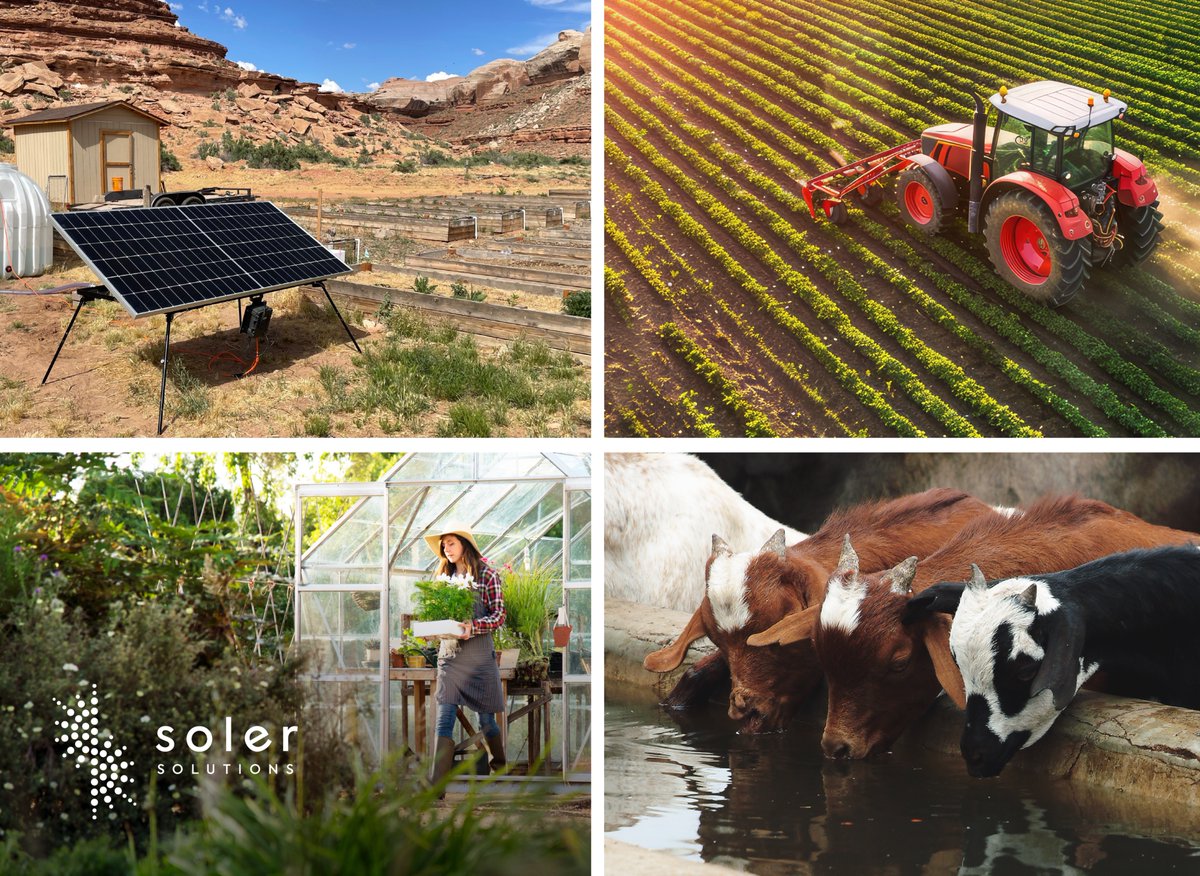 One pump, endless possibilities!

Move water with our solar-powered pump, no grid needed, no hassle.

• Irrigate gardens or crops
• Fill livestock troughs and tanks
• Top up pools and ponds
• Power off-grid

Discover more: shorturl.at/Q3LRu

#SolerSolution #SolarPower