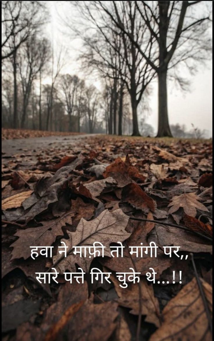 हवा ने माफी तो मांगी मगर,
सारे पत्ते गिर चुके थे....