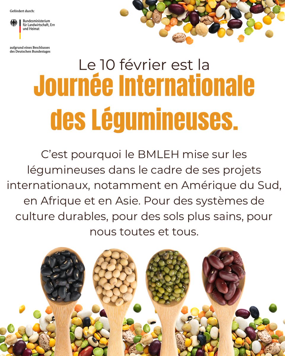 APD_AgricPolicy's tweet photo. En cette #WorldPulsesDay, célébrons le rôle des légumineuses pour des sols sains, une meilleure nutrition et la résilience climatique.
Avec l'APD UA–Allemagne, soutenu par #BMLEH, nous faisons avancer des politiques pour des systèmes agroalimentaires durables en Afrique.
#Pulses https://t.co/xvb3ahunTt