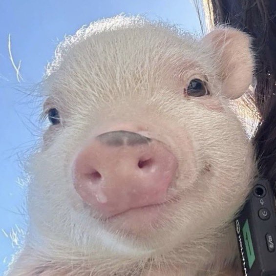 error (@riochul) on Twitter photo 