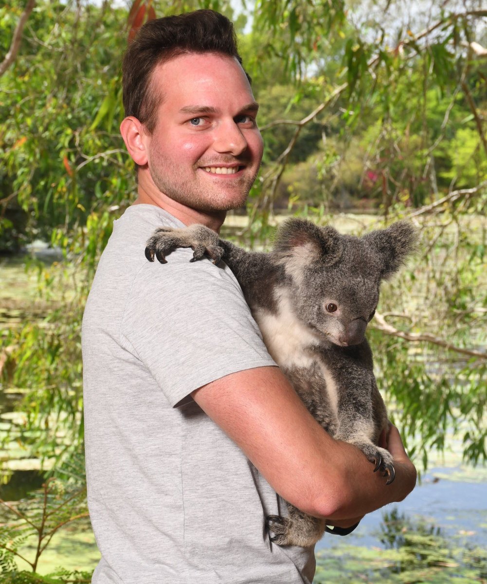 RUBICON IT GmbH tweet media