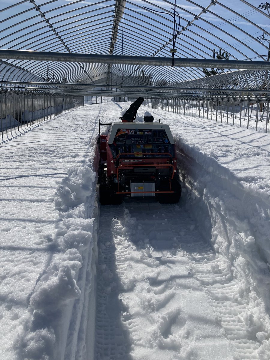 当園が（結構無理して）大馬力除雪機を導入する理由は、ハウスが多いっ