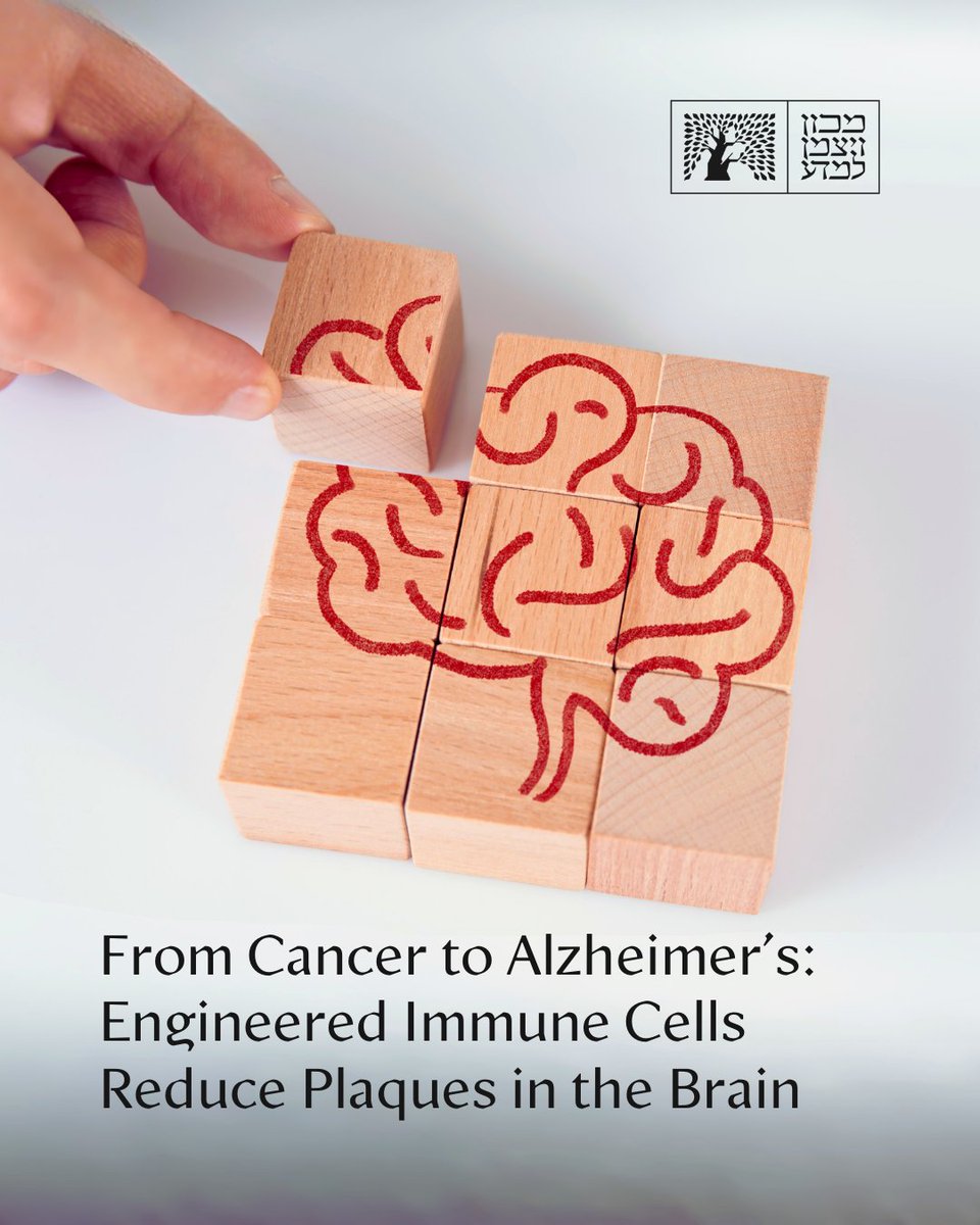 Weizmann Institute tweet media