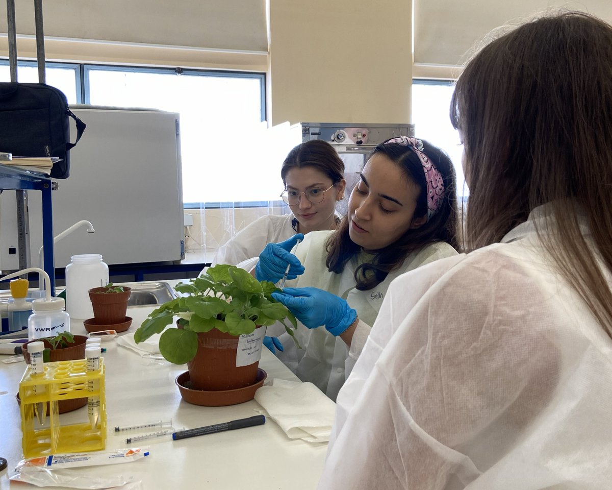 iGEM Community tweet media