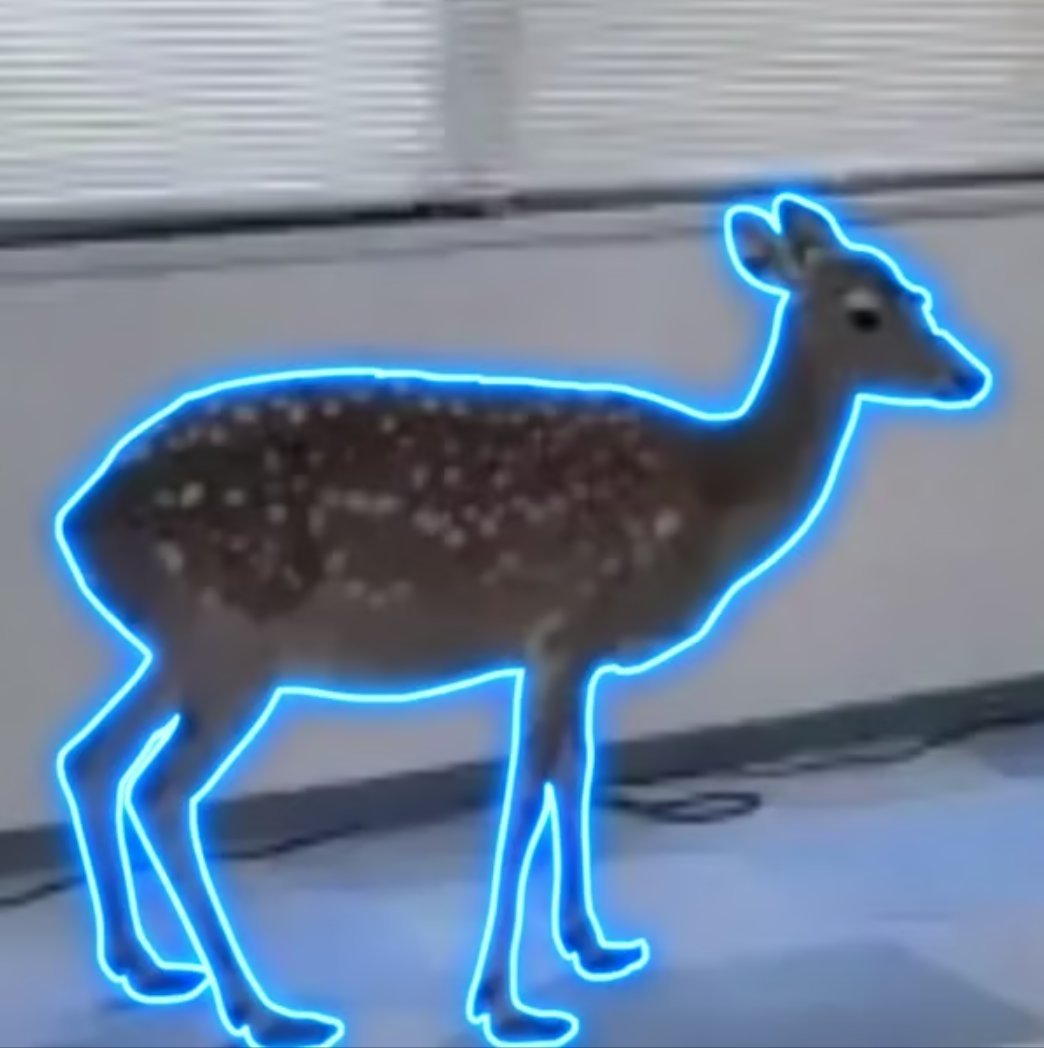 defiliquid tweet media