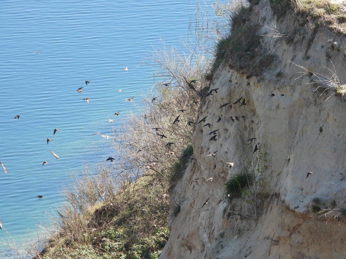 Mucho ladrillo se  construye en el Este:  El Cañaveral, Los Berrocales, Los Ahijones, Valdecarros, Los Cerros 

En el Este y para el bien de todas , la Casa de Campo de las Lagunas de Ambroz  merece otra oportunidad que 🏢🏢🏢. 
🧐👇
elpais.com/espana/madrid/… vía <a href="/el_pais/">EL PAÍS</a>
