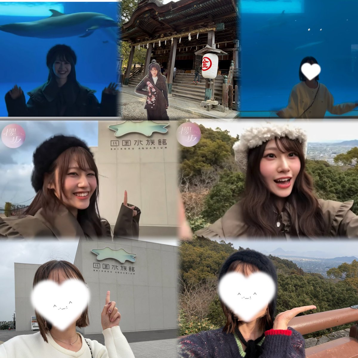 05aoitoha's tweet photo. ちょうど旅行で、推し活してきた♩
ちゃんとイルカが来てるいとちゃん、スターすぎる(* 'ᵕ' )☆笑笑 https://t.co/X6hKBegF8D